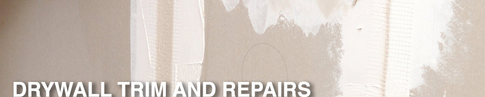 DRYWALL REPAIR